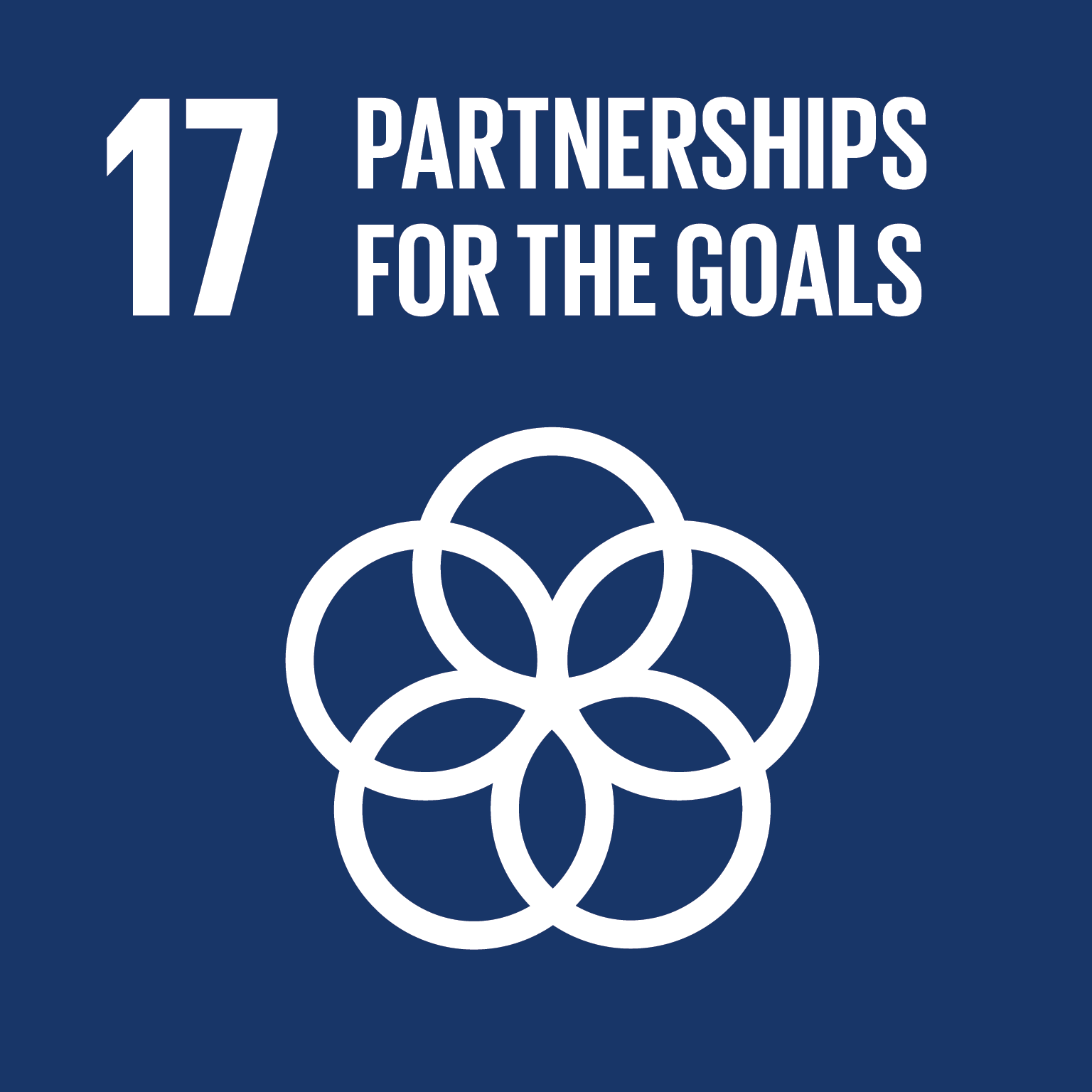 Verdensmål 17: Partnerskaber for handling